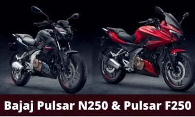 Bajaj Pulsar N250 and Pulsar F250