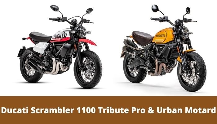 Ducati Scrambler 1100 Tribute Pro and Ducati Scrambler Urban Motard